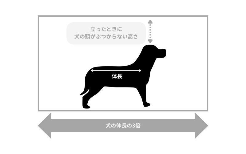 ケージのサイズの選び方