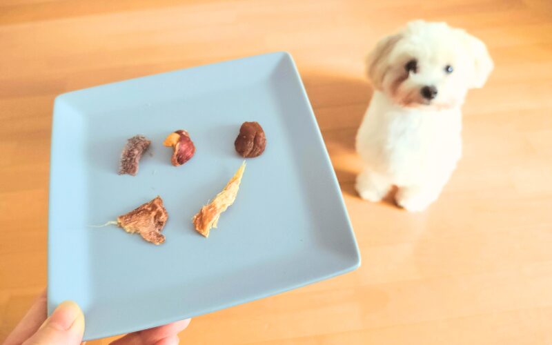 完全無添加の犬用おやつ「ビタライフ(VitaLife)」口コミ・レビュー