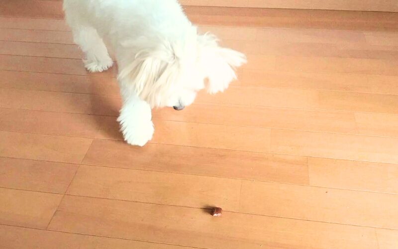 完全無添加の犬用おやつ「ビタライフ(VitaLife)」スイートポテト&チキン口コミ・レビュー