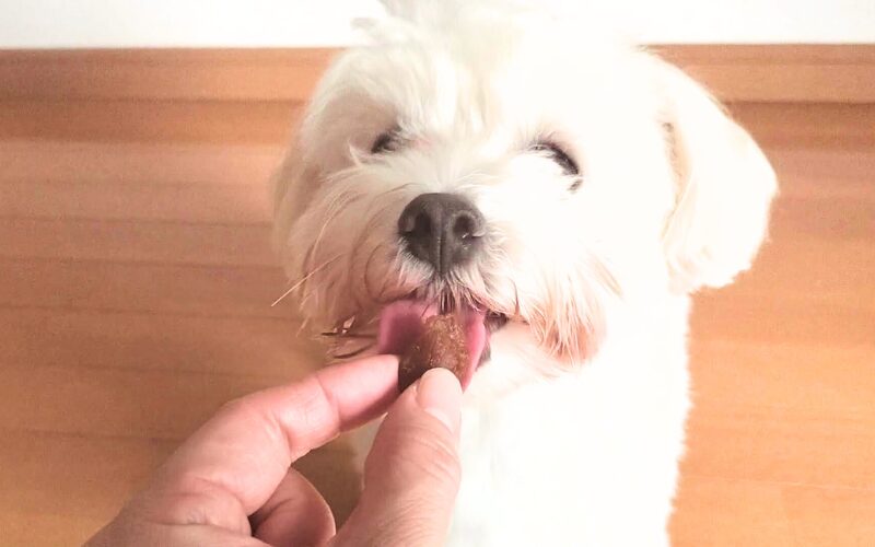 完全無添加の犬用おやつ「ビタライフ(VitaLife)」スイートポテト&チキン口コミ・レビュー