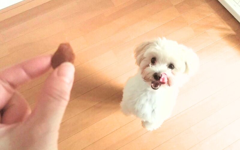 完全無添加の犬用おやつ「ビタライフ(VitaLife)」スイートポテト&チキン口コミ・レビュー