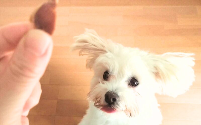 完全無添加の犬用おやつ「ビタライフ(VitaLife)」アップル&チキン口コミ・レビュー