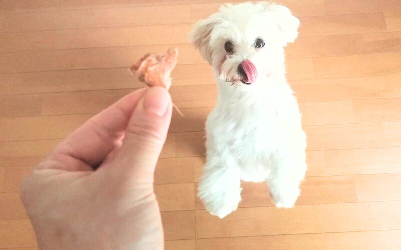 完全無添加の犬用おやつ「ビタライフ(VitaLife)」チキンミニテンダー口コミ・レビュー