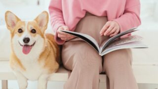犬の飼い方