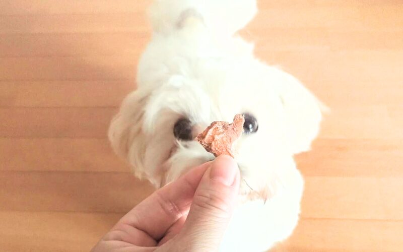 チキンミニテンダーの試食