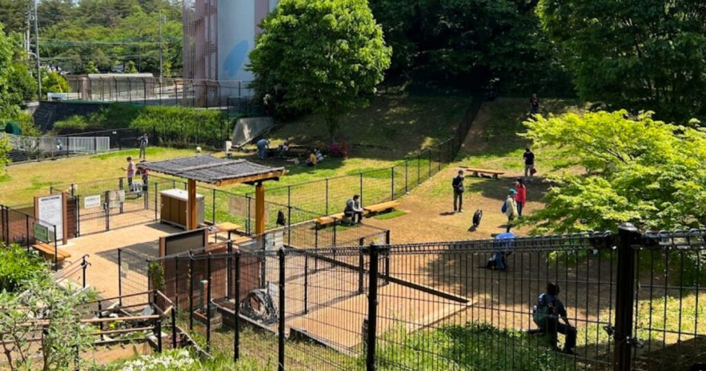 桜ヶ丘公園ドッグラン