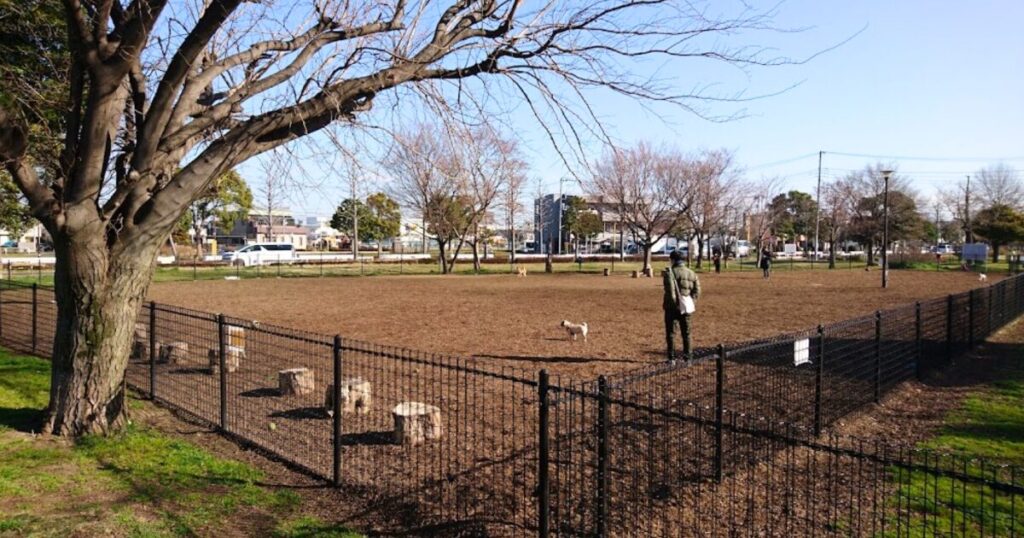 篠崎公園ドッグラン