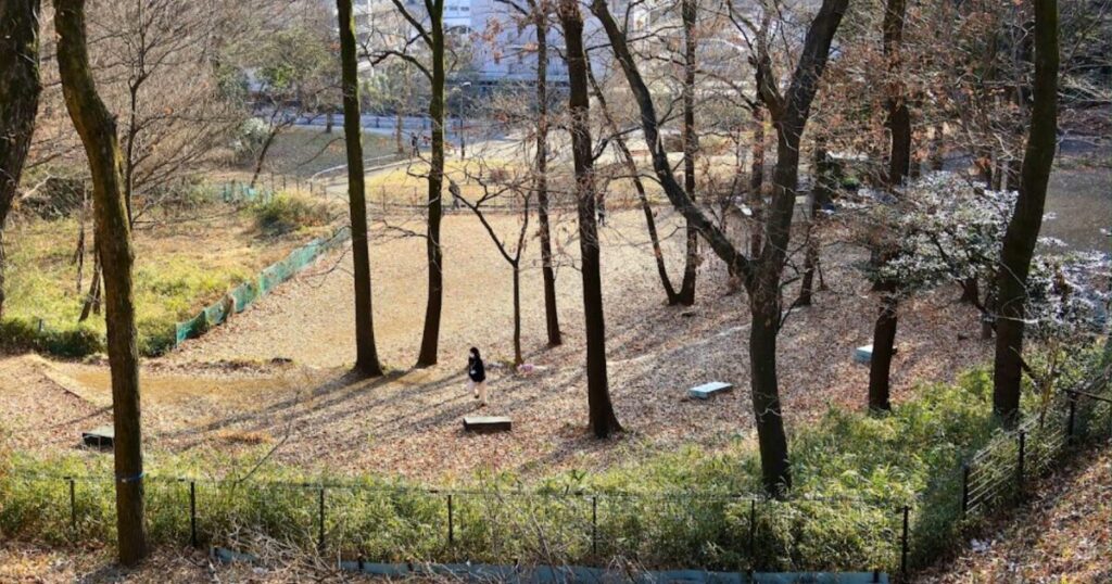 小山内裏公園ドッグラン