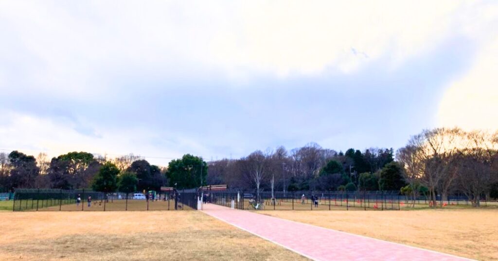 神代植物公園ドッグラン