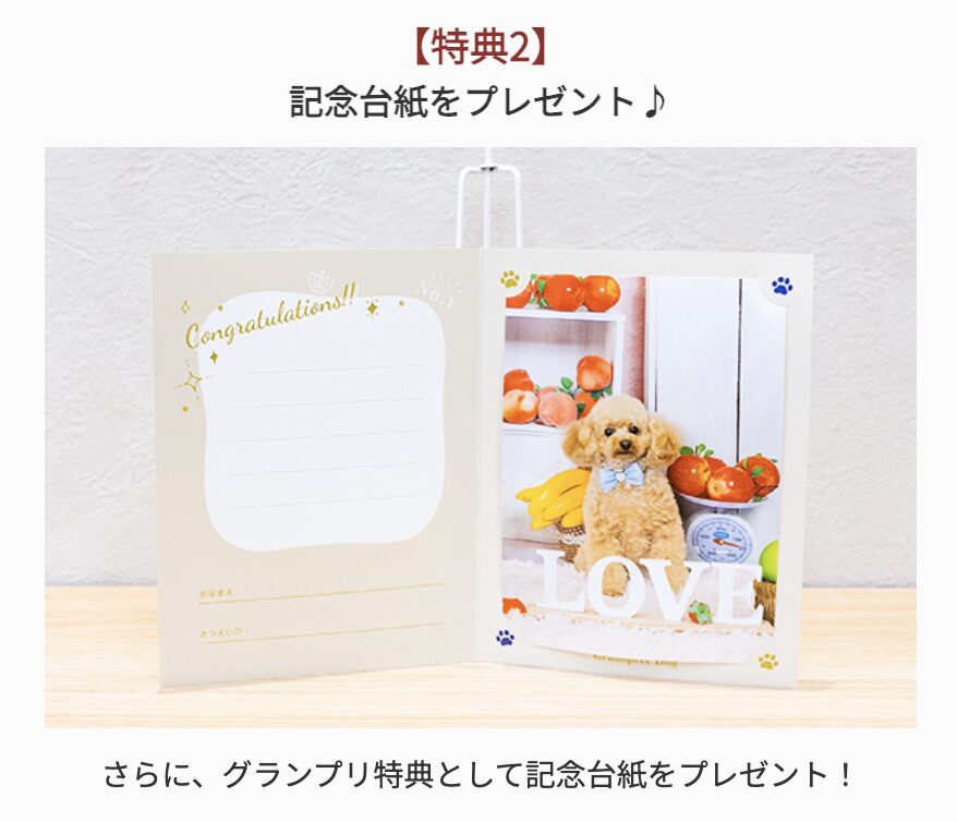 フォトレコペット撮影会のグランプリ特典