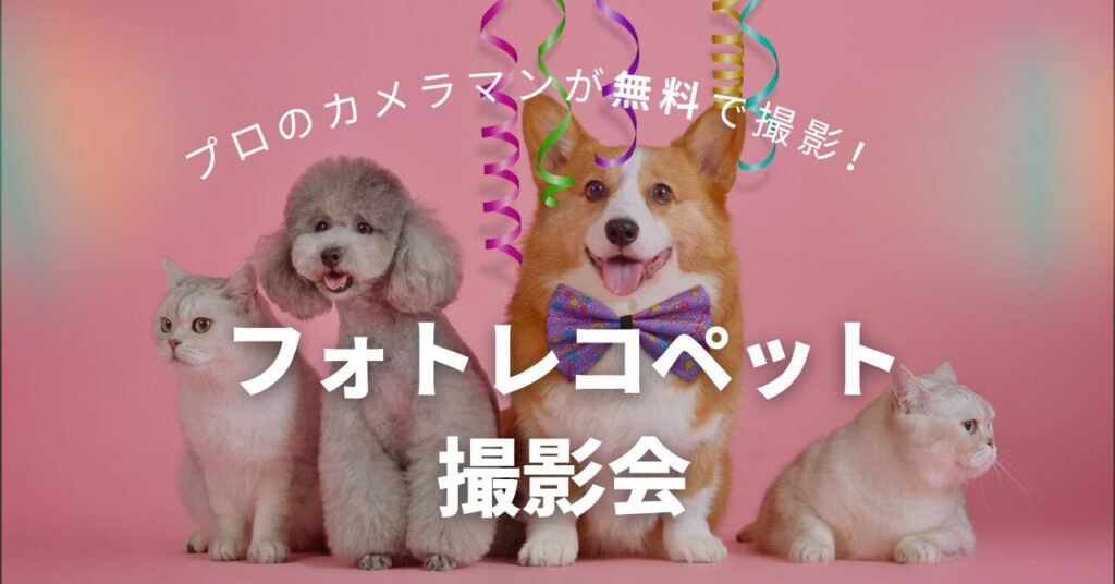 【無料でプロが撮影】フォトレコペット撮影会の評判と口コミ｜参加方法を解説