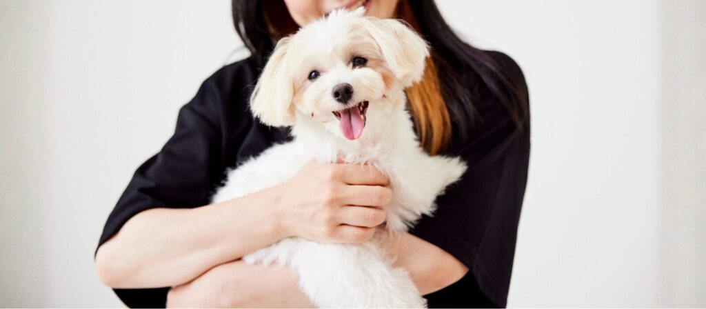 一人暮らしでも犬と楽しく暮らしたい！