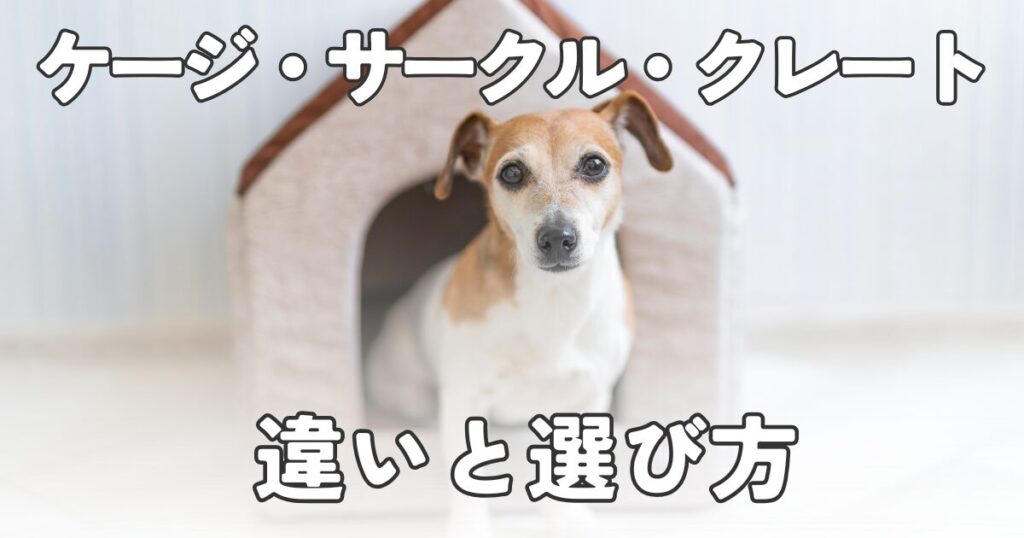 【ケージ・サークル・クレートの違いとは？】一人暮らしで小型犬を飼うならどれを買えばいいの？