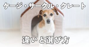 【ケージ・サークル・クレートの違いとは？】一人暮らしで小型犬を飼うならどれを買えばいいの？