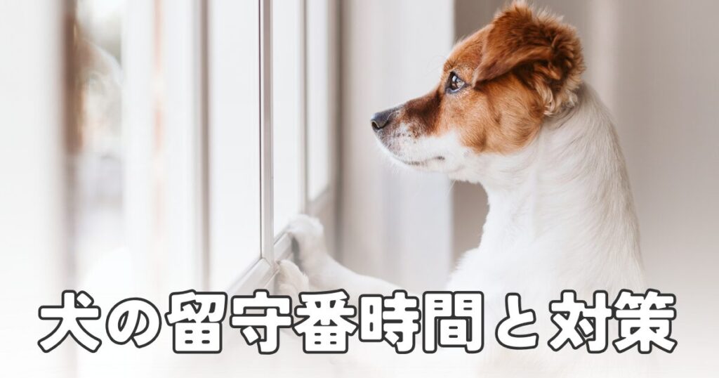 【犬の留守番は何時間まで？】基本的な知識からトレーニング方法・対策と便利グッズを紹介